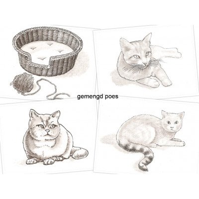 gemengd poes zwart wit